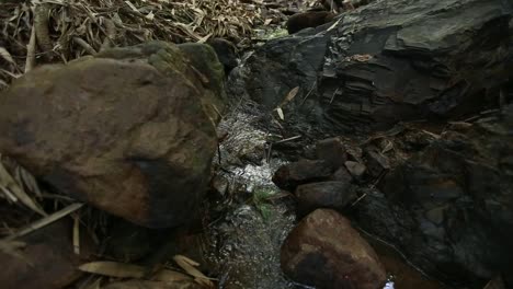 Streams-from-the-mountains
