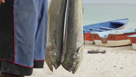 Mahi-mahi-Fish---Fisherman-Holding-Fresh-Caught-Dorado-Fish-At-The-Beach