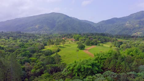 Flight-over-the-lush-green-jungle-with-palm-trees-and-dense-trees-growing-on-large-mountains