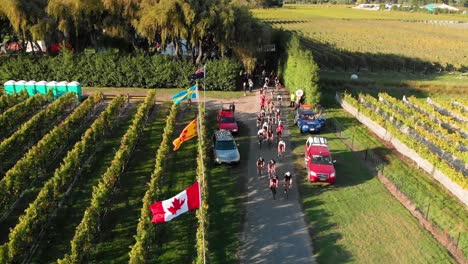 Slowmo-aerial-bikers-starting-their-race-through-a-winery-in-Marlborough,-New-Zealand