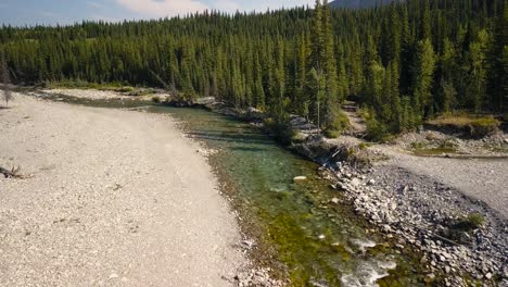 Aerial-Daytime-Medium-Shot-Flying-Forward-Over-The-Bends-Of-A-Swift-Steep-River-Between-Trees-Of-A-Summer-Pine-Forest-In-The-Rocky-Mountain-Peaks-in-Alberta-Canada