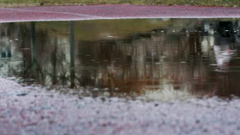 Rainy-puddle-reflection-of-cyclist-in-grey-east-Berlin-suburb,-Germany