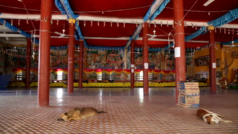 Vista-Interior-De-Una-Residencia-Budista-Con-Perro-Durmiendo-En-Camboya
