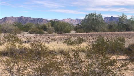 Southwest-Desert-Landscape