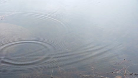 Regentropfen,-Die-In-Zeitlupe-Wellen-Auf-Dem-Wasser-Erzeugen