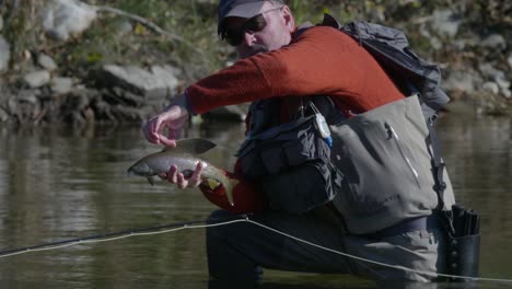 Fly-Fisher-releasing-Grayling-on-the-Chena-river-on-the-banks-of-the-Chena-river-in-Pleasant-valley-near-to-Fairbanks-Alaska