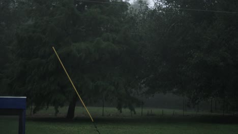 Big-tree-being-blown-around-in-the-wind-during-a-hurricane-in-the-country-on-a-dark-day