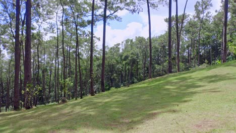 Green-Hills-With-Dense-Forest-In-The-Background