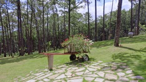 Hermosa-Vista-Del-Paisaje-De-Los-árboles-Del-Bosque-Exuberante-Desde-El-Césped-Del-Jardín-Al-Aire-Libre-En-Jarabacoa,-República-Dominicana