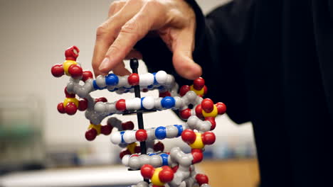 A-college-science-biology-professor-teaching-students-the-human-genome-with-a-dna-double-helix-molecule-in-his-classroom