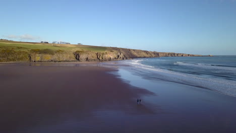 Aerial-footage-of-a-couple-walking-along-the-beach-on-a-sunny-day-at-Lunan-Bay,-Angus,-Scotland