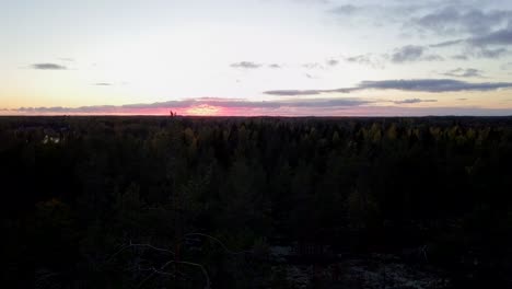 Antenne-Vom-Berggipfel,-Mit-Blick-Auf-Herbstlaub,-Pinienwald-Bei-Sonnenuntergang