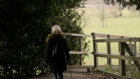 Woman-with-stick-walks-over-bridge-in-countryside