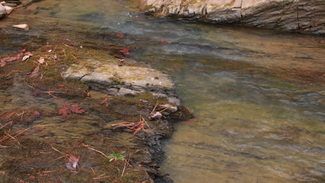 Close-up-of-a-creek-flowing-over-a-slick-rock-surface-past-leaves-and-small-stones-along-its-side