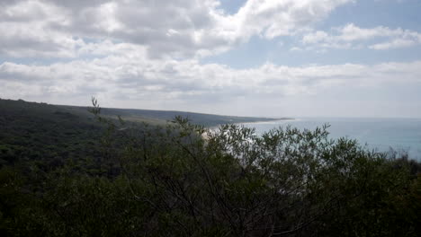 Coastal-scenic-views-along-the-Great-Ocean-Road-Australia