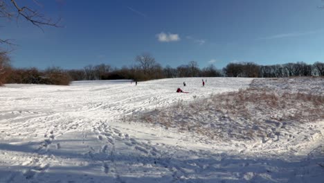 A-wide-shot-of-people-enjoying-the-beautiful-winter-weather
