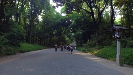 Pov,-Entrada-Al-Santuario-Sintoísta-Meiji-Caminando
