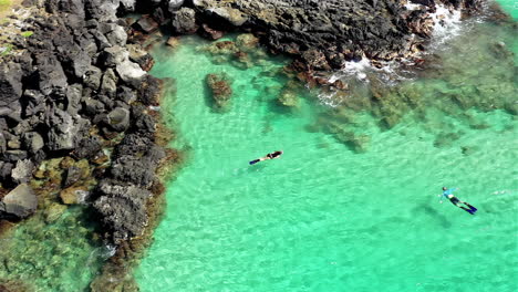Drone-footage-of-a-man-and-woman-snorkeling-on-vacation,-off-the-coast-of-the-big-island-of-Hawaii