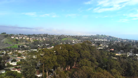 Aerial-drone-shot-rising-over-the-trees-to-a-neighborhood-full-of-houses-in-Santa-Barbara,-California-under-blue-skies