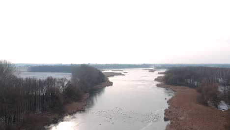Drone-footage-at-the-lake-Kis-Balaton-in-winter