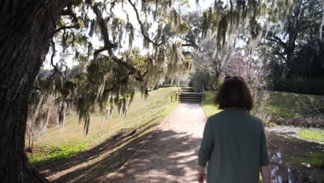 Woman-walks-in-the-low-country-of-South-Carolina-under-Spanish-Moss-laden-trees