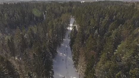 Jährlicher-Skiwettbewerb-In-Aluksne,-Lettland,-Wald-Und-Sonniger-Tag