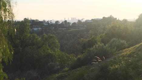 Sunset-vista-from-Griffith-Park-trail