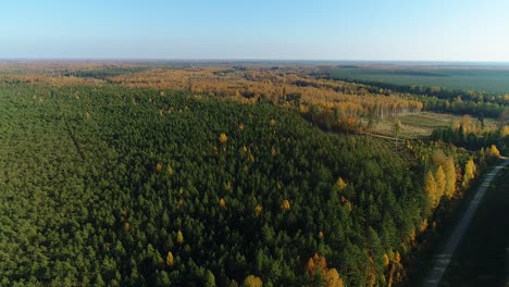 Colorful-seasonal-forests-in-autumn-fall-aerial-wide-view