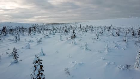 Drone-view-ofa-snowy-landscape-in-Saariselka,-Lapland,-Finland