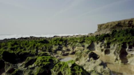 Nature-Sea-Ocean-Shore-Stones-Rocks-Waves-Sand-Seaweed-Sunny-Daylight-Clif-Traveling-Tilt-Shot-4K