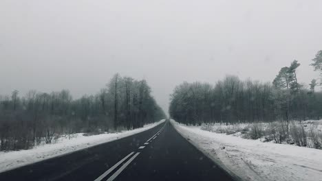 POV-vehicle-drive-countryside-winter-scenery-snow-forest-bare-trees-dirty-window-gopro-point-of-view-car-travel-wet-road-cloudy-sky