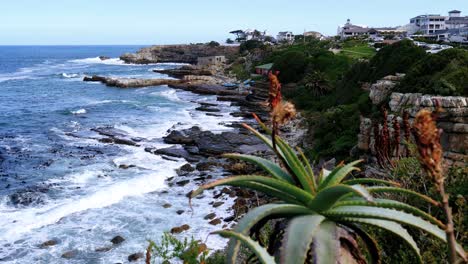 Rocky-coastline-of-Hermanus,-the-whale-watching-capital-of-the-world
