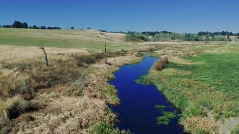 Luftbildaufnahmen-Eines-Sumpfseeflusses-Mit-Grünem-Gras-In-Einer-Ländlichen-Gegend-Südafrikas