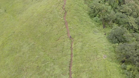 4k-Aerial-Tracking-Shot-of-a-25-year-old-Indian-Male-trekking-on-the-top-of-Shirui-Peak,-Ukurul,-Manipur,-India