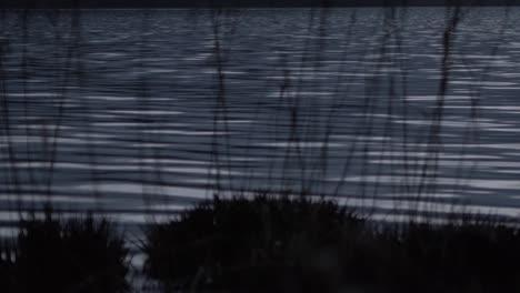 Inselufer-Bei-Nacht-See-Kräuselt-Mondlicht-Langsamer-Schwenk
