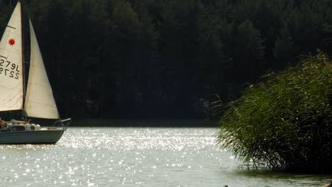 Yate-Navegando-En-El-Lago-Wdzydze-En-El-Parque-Paisajístico-Kashubian-En-El-Voivodato-De-Pomeranian