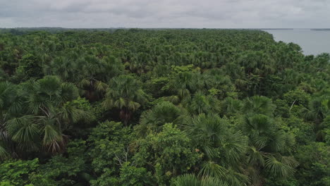 Aerial-shot-close-to-Amazon-forest---Para,-Brazil