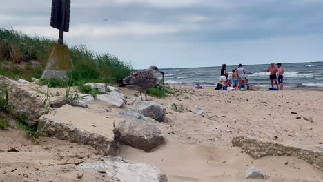 People-enjoying-having-fun-in-the-ocean-sea-water-at-cedar-point-beach-in-sandusky,-ohio,-united-states
