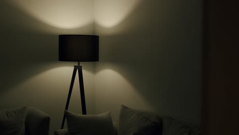 Eine-Schwarze-Designerlampe,-Die-In-Der-Ecke-Eines-Modernen-Wohnzimmers-Steht