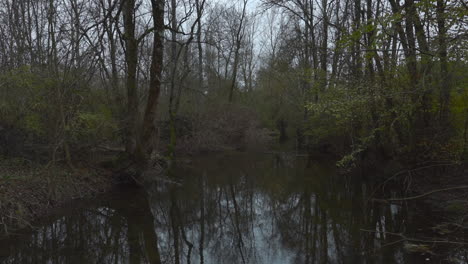 A-slow-moving-dolly-shot-of-a-winding-river-in-the-middle-of-a-dark-forest-in-Cognac,-France