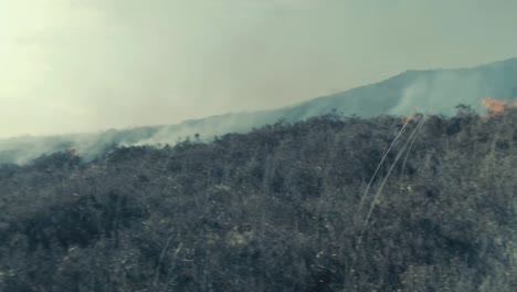Arbusto-Ardiendo-En-La-Ladera-Incendio-Forestal-Tiro-Panorámico
