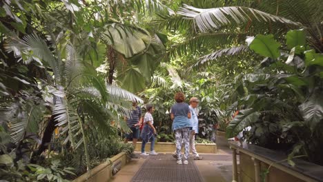 Menschen,-Die-Das-Palmengewächshaus-In-Kew-Gardens-Erkunden