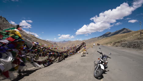 Hund-Läuft-Mit-Normaler-Geschwindigkeit-Vor-Windigen-Gebetsfahnen-Und-Motorrad-Auf-Hohem-Pass-Mit-Flauschigen-Zeitrafferwolken-Im-Hintergrund-Am-Himalaya-Pass