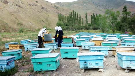 Bee-Farm-in-Central-Asia,-Kyrgyzstan