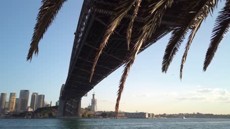 View-from-under-the-Harbour-Bridge-with-Palm-Tree-Leaves-in-the-foreground,-ferry-crusing-through-the-city-and-helicopter-flying-pass-the-harbour-in-the-background