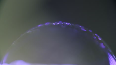 macro-shot-of-a-transparent-sphere-glowing-purple-in-the-dark