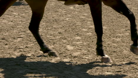 Dark-brown-horse-legs-galloping-in-slow-motion