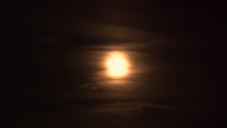 bats-flying-past-a-spooky-full-harvest-moon-with-clouds-4k