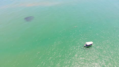 Luftaufnahmen-Eines-Bootes,-Das-An-Einem-Sonnigen-Tag-Ruhig-In-Einem-Grünen-Meer-Schaukelt