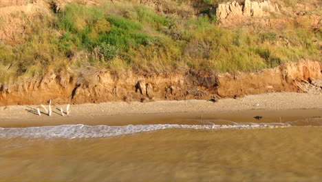 Brown-clay-water-of-the-Black-Sea